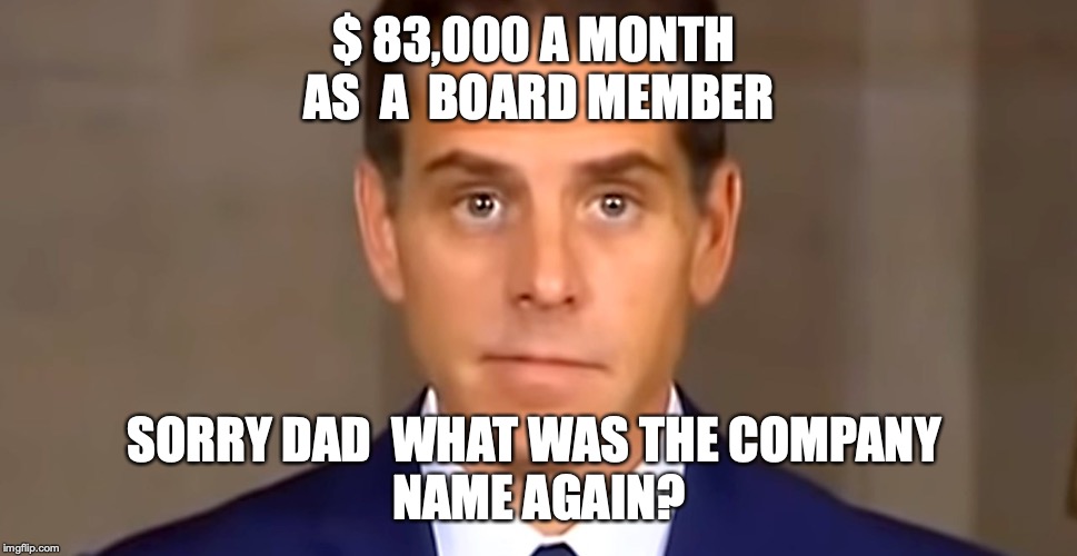 Cash me outside | $ 83,000 A MONTH 
AS  A  BOARD MEMBER; SORRY DAD  WHAT WAS THE COMPANY 
NAME AGAIN? | image tagged in trump,bernie 2020,hunter biden,funny,baby yoda,what if i told you | made w/ Imgflip meme maker