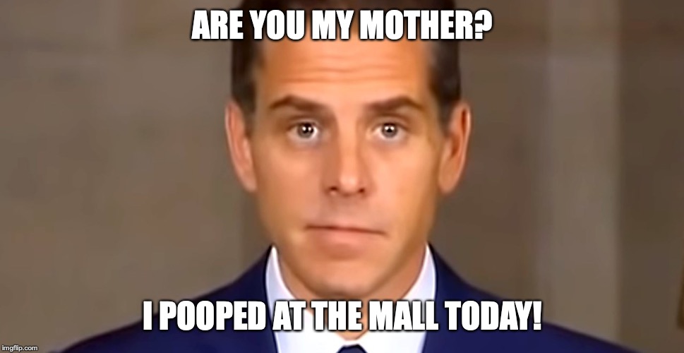 Hunter pooped | ARE YOU MY MOTHER? I POOPED AT THE MALL TODAY! | image tagged in hunter biden,futurama zoidberg,miss piggy,evil kermit,baby yoda | made w/ Imgflip meme maker