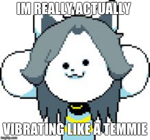 TEMMIE | IM REALLY ACTUALLY; VIBRATING LIKE A TEMMIE | image tagged in temmie | made w/ Imgflip meme maker