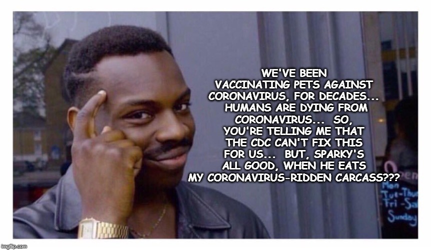 coronavirus | WE'VE BEEN VACCINATING PETS AGAINST CORONAVIRUS, FOR DECADES...  HUMANS ARE DYING FROM CORONAVIRUS...  SO, YOU'RE TELLING ME THAT THE CDC CAN'T FIX THIS FOR US...  BUT, SPARKY'S ALL GOOD, WHEN HE EATS MY CORONAVIRUS-RIDDEN CARCASS??? | image tagged in coronavirus,coronavirusoutbreak | made w/ Imgflip meme maker