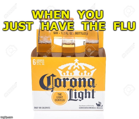 Corona Virus | WHEN  YOU  JUST  HAVE  THE  FLU | image tagged in light,meme | made w/ Imgflip meme maker