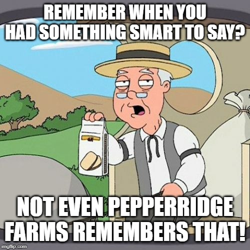 Pepperidge Farm Remembers Meme | REMEMBER WHEN YOU HAD SOMETHING SMART TO SAY? NOT EVEN PEPPERRIDGE FARMS REMEMBERS THAT! | image tagged in memes,pepperidge farm remembers | made w/ Imgflip meme maker