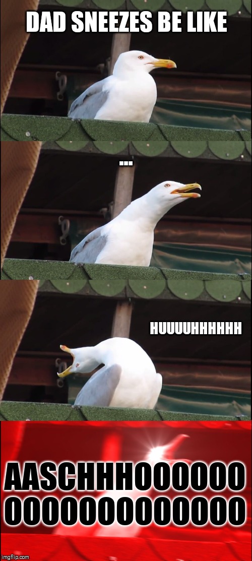 Sneezes | DAD SNEEZES BE LIKE; ... HUUUUHHHHHH; AASCHHHOOOOOO
OOOOOOOOOOOOO | image tagged in memes,inhaling seagull,sneeze,dads | made w/ Imgflip meme maker