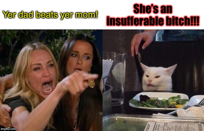 Woman Yelling At Cat Meme | Yer dad beats yer mom! She’s an insufferable b**ch!!! | image tagged in memes,woman yelling at cat | made w/ Imgflip meme maker