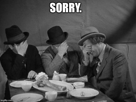 Stooges Facepalm | SORRY. | image tagged in stooges facepalm | made w/ Imgflip meme maker