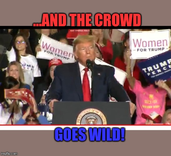 Impeachment you say? Trump rally in NJ tonight, 10,000 fans! Dems can't draw flies to their events | ...AND THE CROWD; GOES WILD! | image tagged in donald trump,trump rally | made w/ Imgflip meme maker