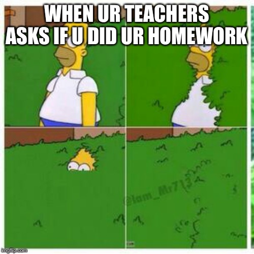 Homer hides | WHEN UR TEACHERS ASKS IF U DID UR HOMEWORK | image tagged in homer hides | made w/ Imgflip meme maker