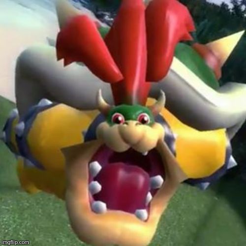 Bowser on LSD | image tagged in bowser on lsd | made w/ Imgflip meme maker