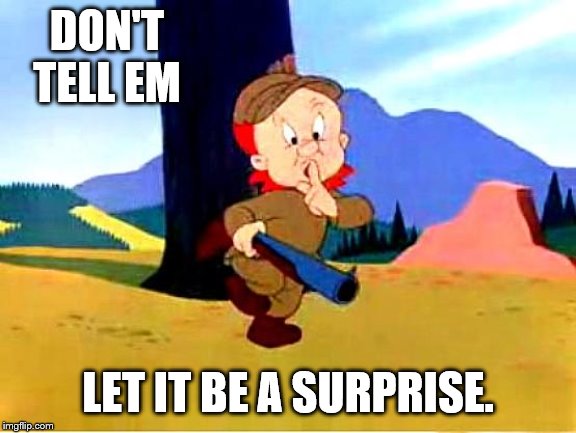 Elmer Fudd | DON'T TELL EM LET IT BE A SURPRISE. | image tagged in elmer fudd | made w/ Imgflip meme maker