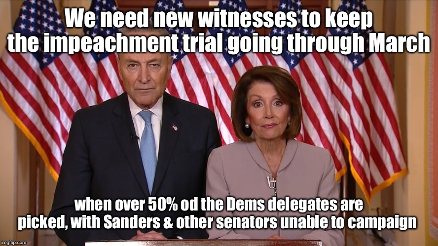 Sleepy Joe owes them now | We need new witnesses to keep the impeachment trial going through March; when over 50% od the Dems delegates are picked, with Sanders & other senators unable to campaign | image tagged in chuck and nancy,sleepy joe biden,democrat primaries,democrat senators in trial,campaign limitation | made w/ Imgflip meme maker