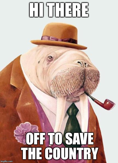 I am the egg man... | HI THERE; OFF TO SAVE THE COUNTRY | image tagged in walrus smoking pipe,walrus,i am the walrus,witnesses,trump impeachment,impeachment | made w/ Imgflip meme maker