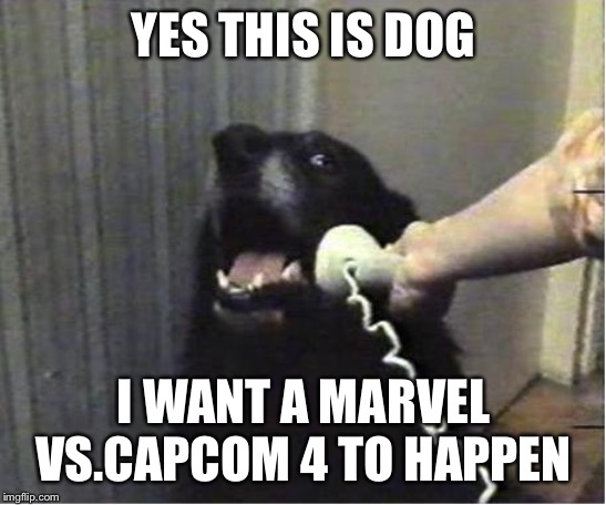 Yes this is dog | YES THIS IS DOG; I WANT A MARVEL VS.CAPCOM 4 TO HAPPEN | image tagged in yes this is dog | made w/ Imgflip meme maker