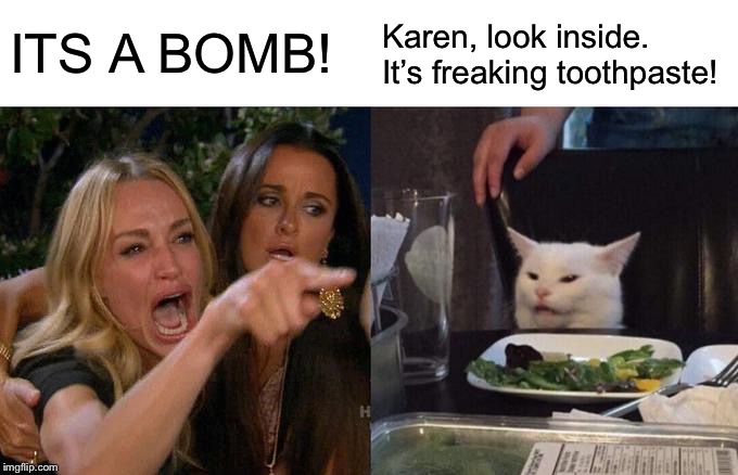 Woman Yelling At Cat Meme | ITS A BOMB! Karen, look inside. It’s freaking toothpaste! | image tagged in memes,woman yelling at cat | made w/ Imgflip meme maker