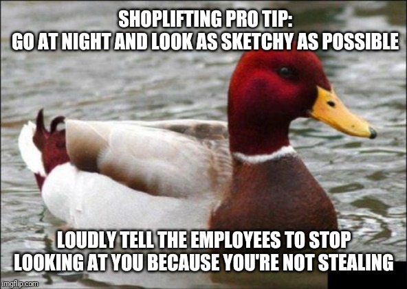 Malicious Advice Mallard | SHOPLIFTING PRO TIP:
GO AT NIGHT AND LOOK AS SKETCHY AS POSSIBLE; LOUDLY TELL THE EMPLOYEES TO STOP LOOKING AT YOU BECAUSE YOU'RE NOT STEALING | image tagged in memes,malicious advice mallard | made w/ Imgflip meme maker