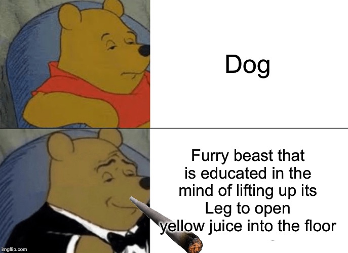 Tuxedo Winnie The Pooh | Dog; Furry beast that is educated in the mind of lifting up its
Leg to open yellow juice into the floor | image tagged in memes,tuxedo winnie the pooh | made w/ Imgflip meme maker