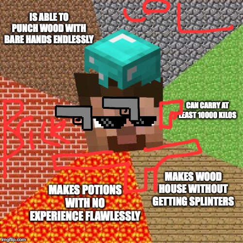 Minecraft be like | IS ABLE TO PUNCH WOOD WITH BARE HANDS ENDLESSLY; CAN CARRY AT LEAST 10000 KILOS; MAKES POTIONS WITH NO EXPERIENCE FLAWLESSLY; MAKES WOOD HOUSE WITHOUT GETTING SPLINTERS | image tagged in minecraft steve | made w/ Imgflip meme maker