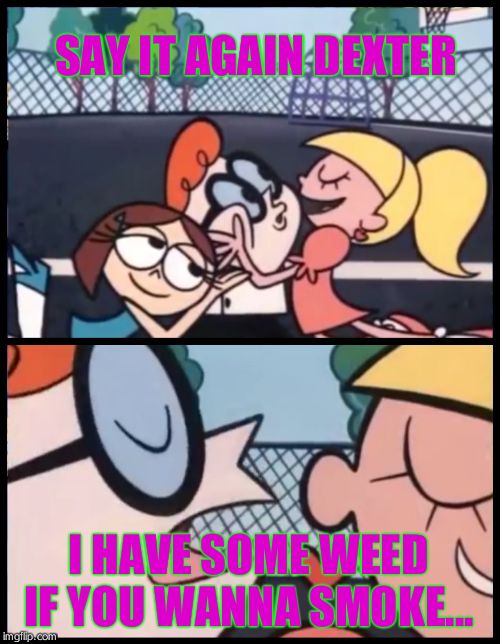 Say it Again, Dexter | SAY IT AGAIN DEXTER; I HAVE SOME WEED IF YOU WANNA SMOKE... | image tagged in memes,say it again dexter | made w/ Imgflip meme maker