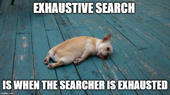 tired dog | EXHAUSTIVE SEARCH; IS WHEN THE SEARCHER IS EXHAUSTED | image tagged in tired dog | made w/ Imgflip meme maker