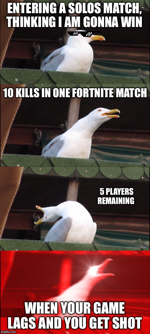Inhaling Seagull | ENTERING A SOLOS MATCH, THINKING I AM GONNA WIN; 10 KILLS IN ONE FORTNITE MATCH; 5 PLAYERS REMAINING; WHEN YOUR GAME LAGS AND YOU GET SHOT | image tagged in memes,inhaling seagull | made w/ Imgflip meme maker