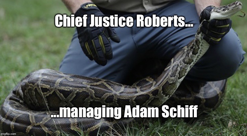 Chief Justice Roberts, Managing Adam Schiff | Chief Justice Roberts... ...managing Adam Schiff | image tagged in snake,adam schiff,chief justice,impeachment,memes,donald trump | made w/ Imgflip meme maker