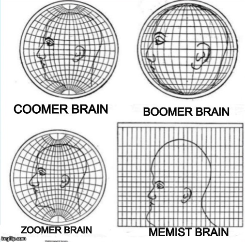 Dumb brain | COOMER BRAIN; BOOMER BRAIN; ZOOMER BRAIN; MEMIST BRAIN | image tagged in brain | made w/ Imgflip meme maker