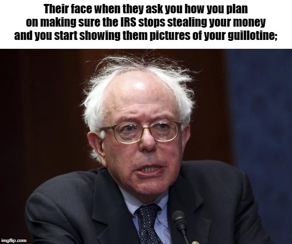 Bernie Sanders | Their face when they ask you how you plan on making sure the IRS stops stealing your money and you start showing them pictures of your guillotine; | image tagged in bernie sanders | made w/ Imgflip meme maker