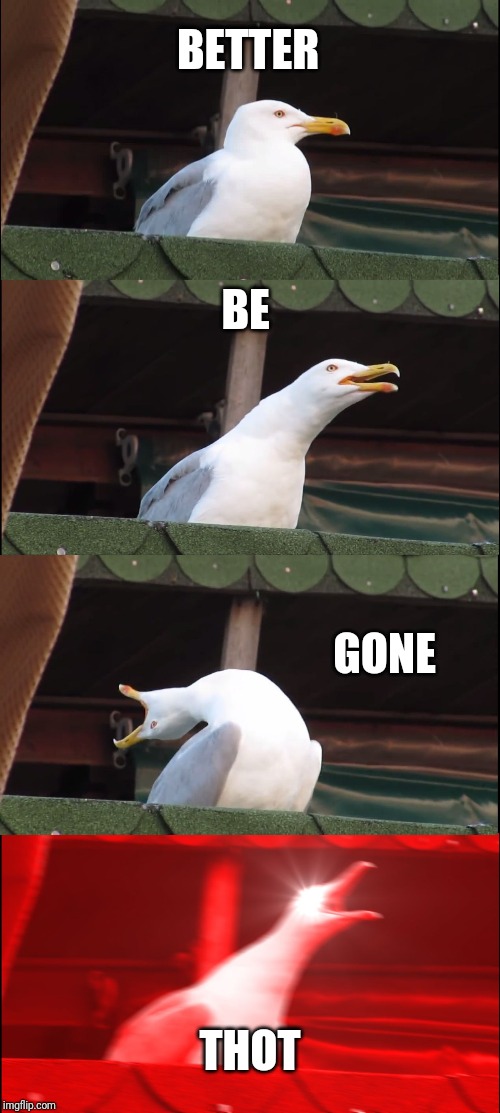 Inhaling Seagull Meme | BETTER; BE; GONE; THOT | image tagged in memes,inhaling seagull | made w/ Imgflip meme maker