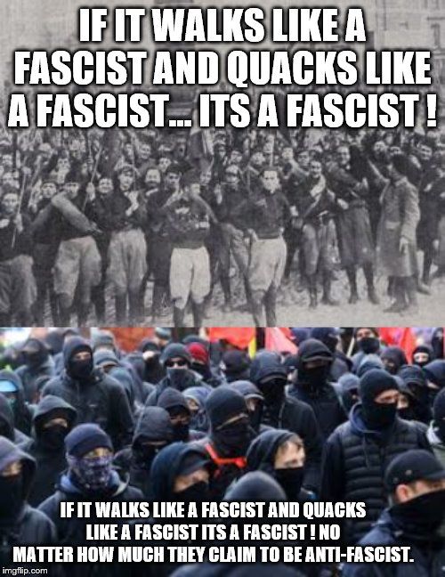 yep | IF IT WALKS LIKE A FASCIST AND QUACKS LIKE A FASCIST... ITS A FASCIST ! IF IT WALKS LIKE A FASCIST AND QUACKS LIKE A FASCIST ITS A FASCIST ! NO MATTER HOW MUCH THEY CLAIM TO BE ANTI-FASCIST. | image tagged in democrats,antifa,fascist | made w/ Imgflip meme maker