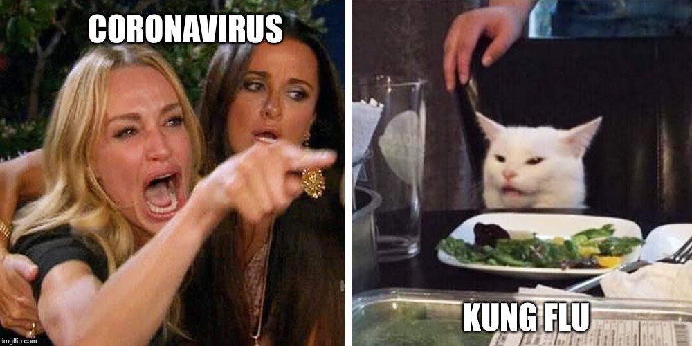 Smudge the cat | CORONAVIRUS; KUNG FLU | image tagged in smudge the cat | made w/ Imgflip meme maker