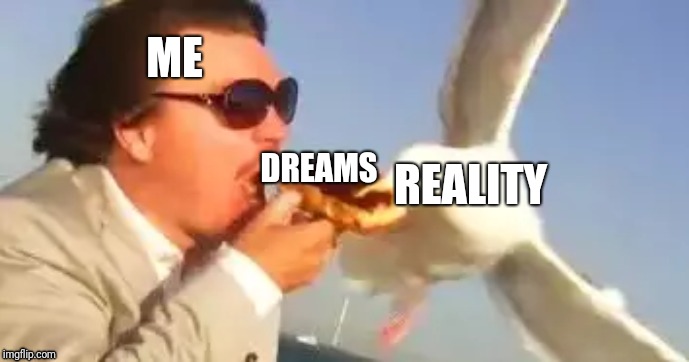 swiping seagull | ME; DREAMS; REALITY | image tagged in swiping seagull | made w/ Imgflip meme maker