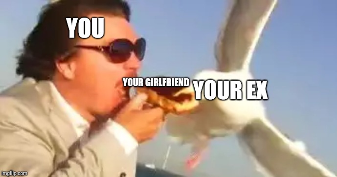 swiping seagull | YOU; YOUR GIRLFRIEND; YOUR EX | image tagged in swiping seagull | made w/ Imgflip meme maker