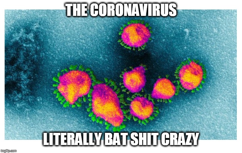 It's being said it jumped from bats! | THE CORONAVIRUS; LITERALLY BAT SHIT CRAZY | image tagged in coronavirus,war room pandemic,killer virus | made w/ Imgflip meme maker