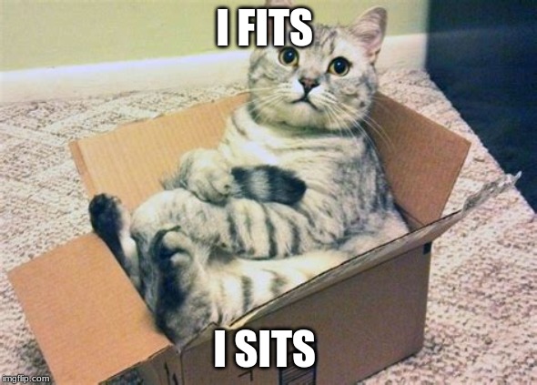 comfy cat | I FITS; I SITS | image tagged in comfy cat | made w/ Imgflip meme maker