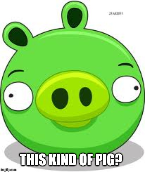 Angry Birds Pig Meme | THIS KIND OF PIG? | image tagged in memes,angry birds pig | made w/ Imgflip meme maker
