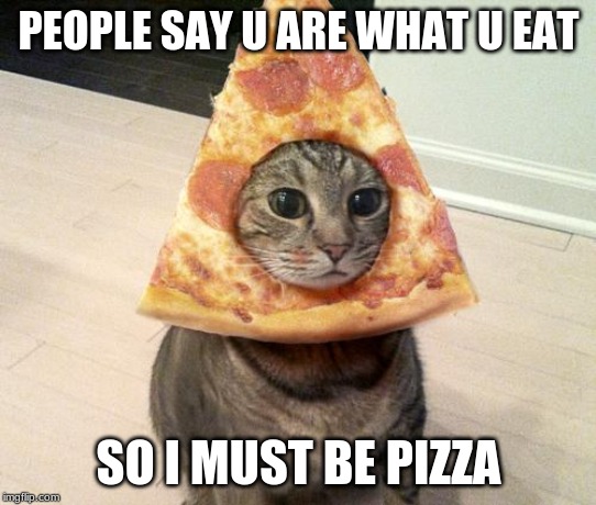 pizza cat | PEOPLE SAY U ARE WHAT U EAT; SO I MUST BE PIZZA | image tagged in pizza cat | made w/ Imgflip meme maker