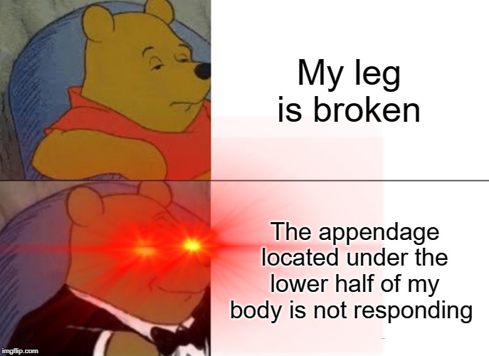I see | My leg is broken; The appendage located under the lower half of my body is not responding | image tagged in tuxedo winnie the pooh | made w/ Imgflip meme maker