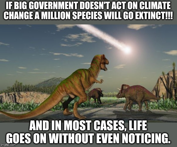 Where was the outrage when we went extinct?! Oh that's right, humans didn't come along for another couple hundred million years. | IF BIG GOVERNMENT DOESN'T ACT ON CLIMATE CHANGE A MILLION SPECIES WILL GO EXTINCT!!! AND IN MOST CASES, LIFE GOES ON WITHOUT EVEN NOTICING. | image tagged in dinosaurs meteor | made w/ Imgflip meme maker
