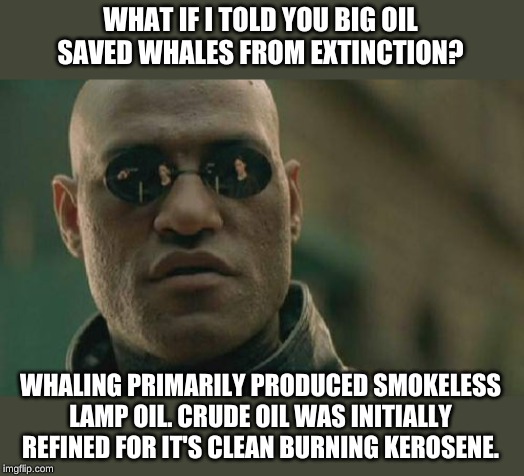 Big Oil's first "green" initiative of thousands of environment saving innovations. | WHAT IF I TOLD YOU BIG OIL SAVED WHALES FROM EXTINCTION? WHALING PRIMARILY PRODUCED SMOKELESS LAMP OIL. CRUDE OIL WAS INITIALLY REFINED FOR IT'S CLEAN BURNING KEROSENE. | image tagged in memes,matrix morpheus | made w/ Imgflip meme maker