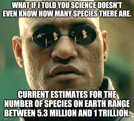 2000-1.6 million species, now 8.7 million & counting. It's like the Cambrian Explosion! It's epic! Biblical Proportions! | WHAT IF I TOLD YOU SCIENCE DOESN'T EVEN KNOW HOW MANY SPECIES THERE ARE. CURRENT ESTIMATES FOR THE NUMBER OF SPECIES ON EARTH RANGE BETWEEN 5.3 MILLION AND 1 TRILLION. | image tagged in what if i told you | made w/ Imgflip meme maker