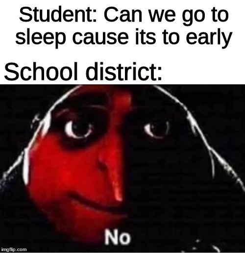 Gru No | Student: Can we go to sleep cause its to early; School district: | image tagged in gru no,fun,memes | made w/ Imgflip meme maker