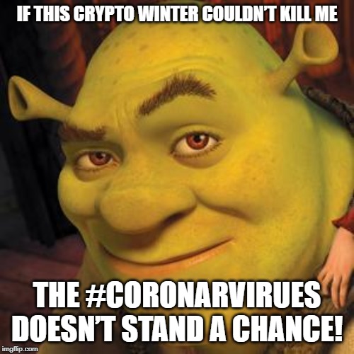 Shrek Sexy Face | IF THIS CRYPTO WINTER COULDN’T KILL ME; THE #CORONARVIRUES DOESN’T STAND A CHANCE! | image tagged in shrek sexy face | made w/ Imgflip meme maker