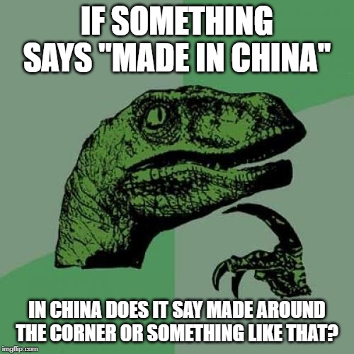 Philosoraptor | IF SOMETHING SAYS ''MADE IN CHINA''; IN CHINA DOES IT SAY MADE AROUND THE CORNER OR SOMETHING LIKE THAT? | image tagged in memes,philosoraptor | made w/ Imgflip meme maker
