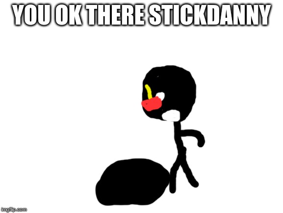 Blank White Template | YOU OK THERE STICKDANNY | image tagged in blank white template | made w/ Imgflip meme maker