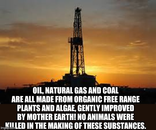 100% Vegan for over 250 million years! | OIL, NATURAL GAS AND COAL ARE ALL MADE FROM ORGANIC FREE RANGE PLANTS AND ALGAE, GENTLY IMPROVED BY MOTHER EARTH! NO ANIMALS WERE KILLED IN THE MAKING OF THESE SUBSTANCES. | image tagged in oil rig | made w/ Imgflip meme maker