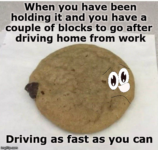 Make sure to squeeze them cheeks. | When you have been holding it and you have a 
couple of blocks to go after 
driving home from work; Driving as fast as you can | image tagged in pooping,aint nobody got time for that,driving | made w/ Imgflip meme maker
