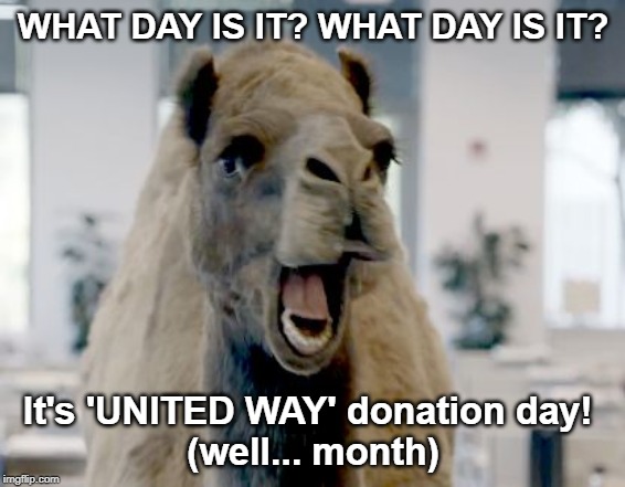 Geico camel hump day | WHAT DAY IS IT? WHAT DAY IS IT? It's 'UNITED WAY' donation day! 
(well... month) | image tagged in geico camel hump day | made w/ Imgflip meme maker