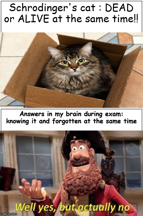 Blank Comic Panel 1x2 | Schrodinger's cat : DEAD or ALIVE at the same time!! Answers in my brain during exam: knowing it and forgotten at the same time | image tagged in memes,blank comic panel 1x2 | made w/ Imgflip meme maker
