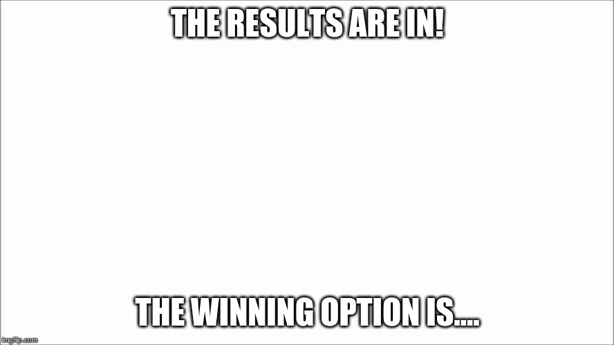 White screen  | THE RESULTS ARE IN! THE WINNING OPTION IS.... | image tagged in white screen | made w/ Imgflip meme maker