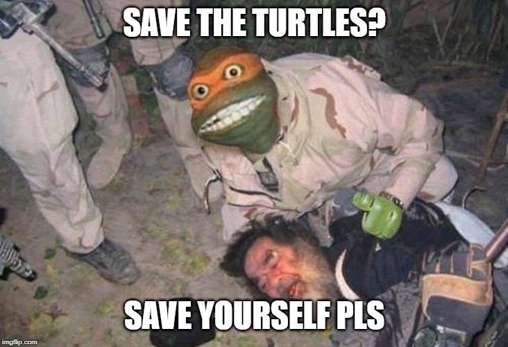 turts |  SAVE THE TURTLES? SAVE YOURSELF PLS | image tagged in fun,funny memes,dank memes,cursed image,turtle | made w/ Imgflip meme maker