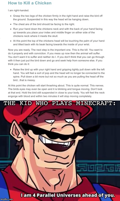 I Am 4 Parallel Universes Ahead Of You |  THE KID WHO PLAYS MINECRAFT: | image tagged in i am 4 parallel universes ahead of you | made w/ Imgflip meme maker